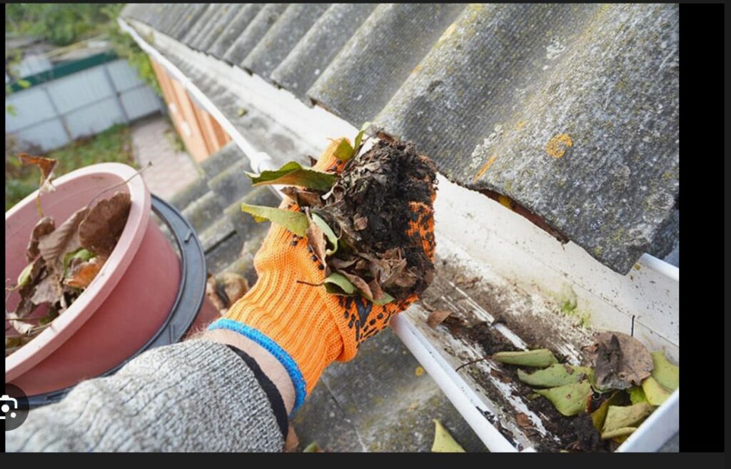 Freshline Solution|Exterior Cleaning Services Citrus Heights, CA | Freshline Solution